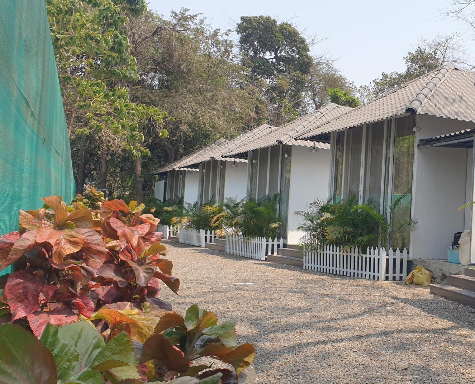 אליבג Nature'S Cove Resort מראה חיצוני תמונה