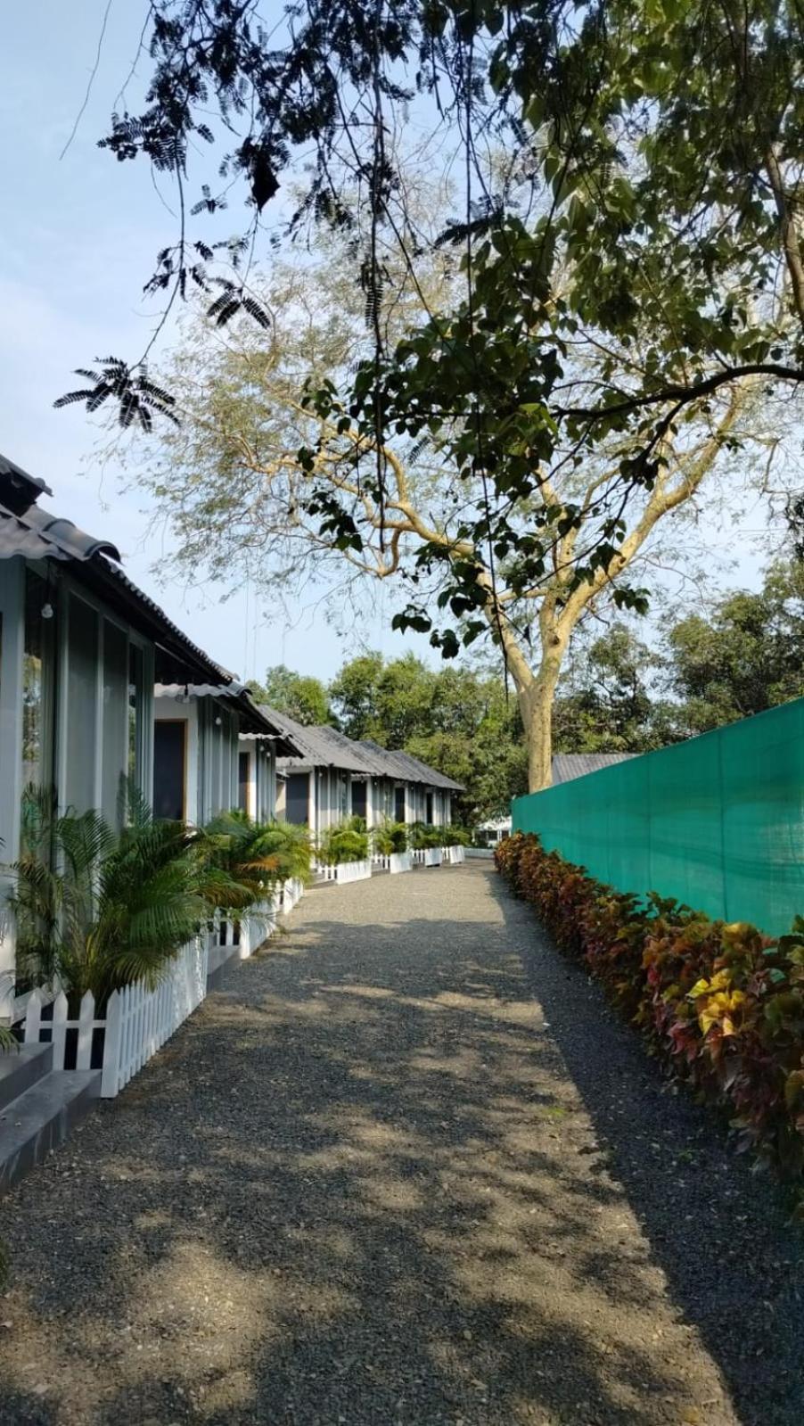 אליבג Nature'S Cove Resort מראה חיצוני תמונה